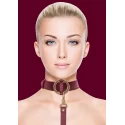 Ouch halo - collar with leash