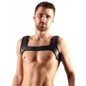 Men's Harness