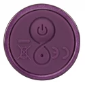 Spot Vibrator with 2 tips