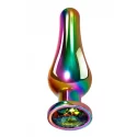 Metalowy korek analny Evolved Rainbow Metal Plug Medium