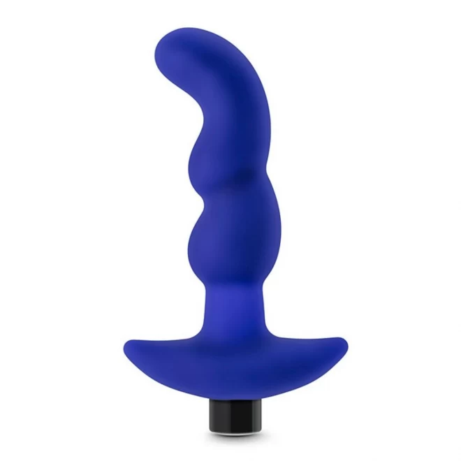 PERFORMANCE PLUS CHARGER INDIGO