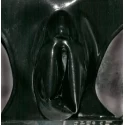 Lateksowe figi z waginą - Slip aus Latex mit integriertem Kondom