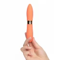 Wibrator Bullets Deux Double-Ended