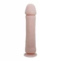 THE BIG PENIS
