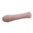 THE BIG PENIS