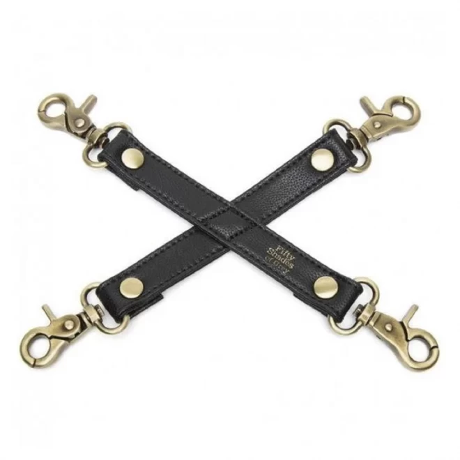 Fsog bound to you hog tie