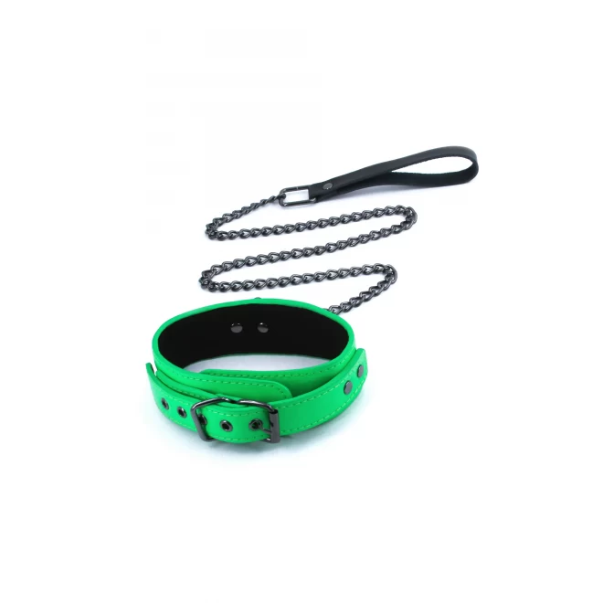 Electra Collar + Leash