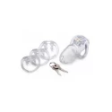 Clear captor chastity cage with keys - small