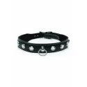 Bling vixen leather choker w/ rhinestones