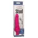 Rechargeable Stud Cliterrific