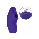 Remote Suction Panty Teaser