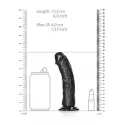 Dildo without balls with suction cup - 6''/ 15,5 cm