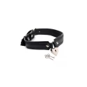 Locking heart collar