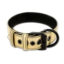 Bondage Fetish Metallic Pup Collar With Leash