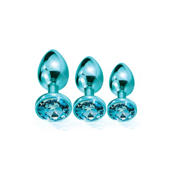 NIXIE METAL BUTT PLUG TRAINER SET