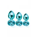NIXIE METAL BUTT PLUG TRAINER SET
