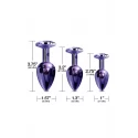 NIXIE METAL BUTT PLUG TRAINER SET