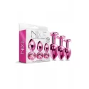 NIXIE METAL BUTT PLUG TRAINER SET