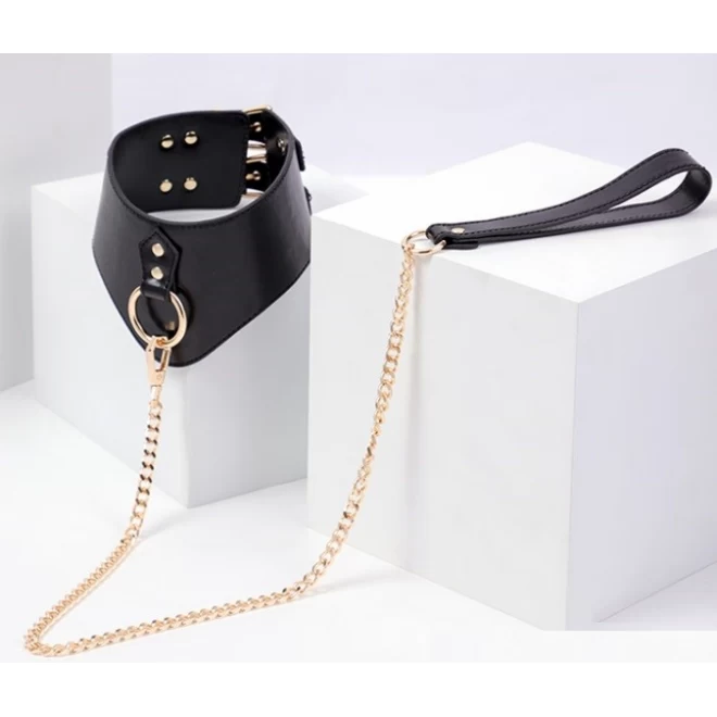 Tight Me Stronger Collar and Leash Set Black/Gold