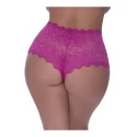 Split crotch lace boy short