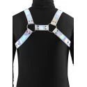 Cosmo Harness Rogue