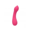 Wibrator Pixies Teaser Calexotics