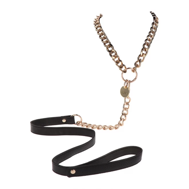 Statement Leash