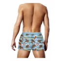 Swim trunk gaywatch bears