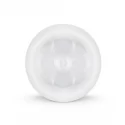 Masturbator - Boners - Masturbator Ribbed