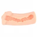 Masturbator Elegance 1