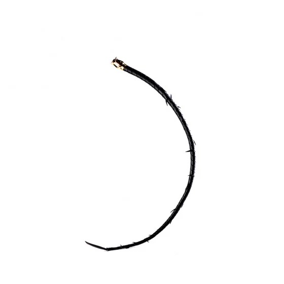 Pejcz Leather Thorn Whip
