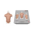 Realistyczny umięśniony męski tors L- Xx-dreamstoys