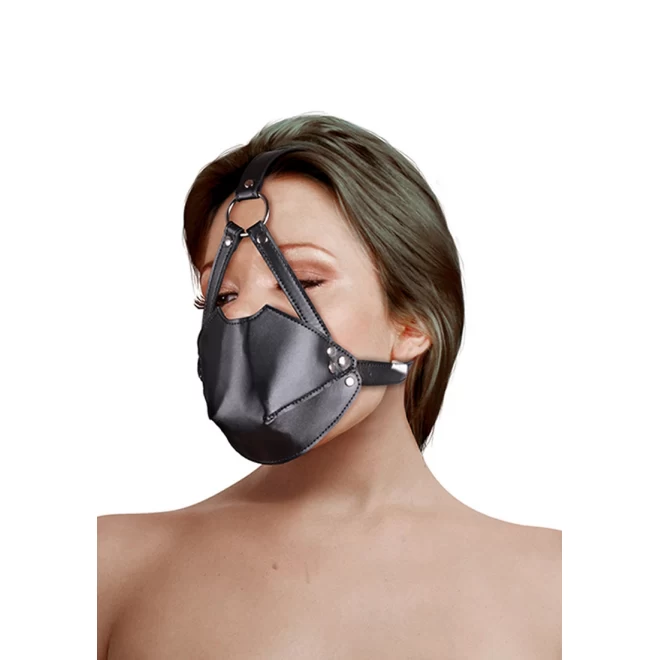 Head harness with mouth cover and breath ball gag