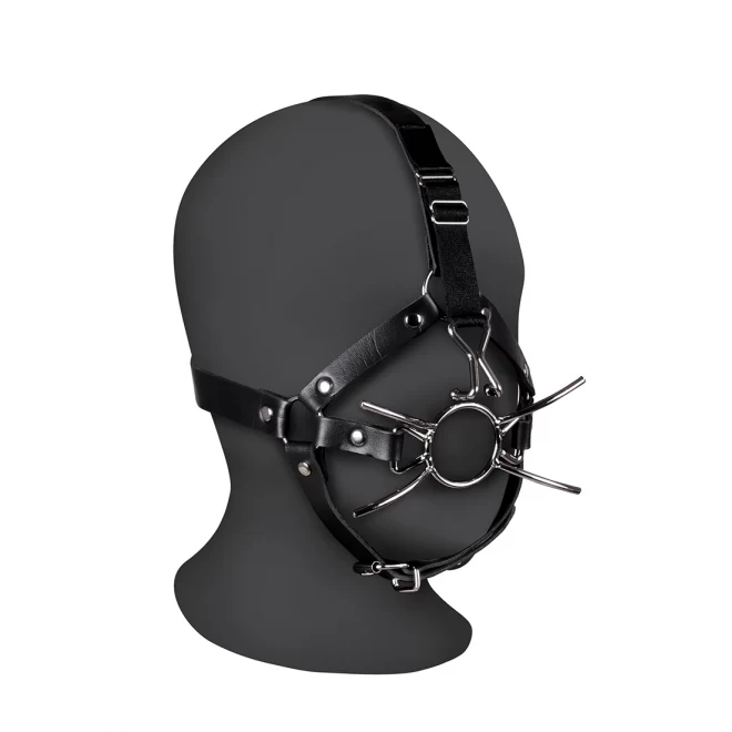 Head harness with spider gag and nose hooks