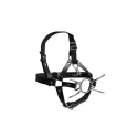 Head harness with spider gag and nose hooks