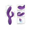 Stella C Curve