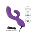 Stella C Curve