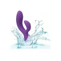 Stella C Curve